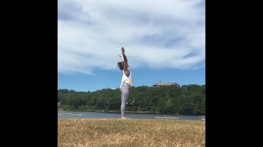 Upward Salute, Big Toe, Half Handstand, Upward Facing Dog, Downward Facing Dog, Warrior I, Revolved Hand To Big Toe, Standing Split, Child's Pose