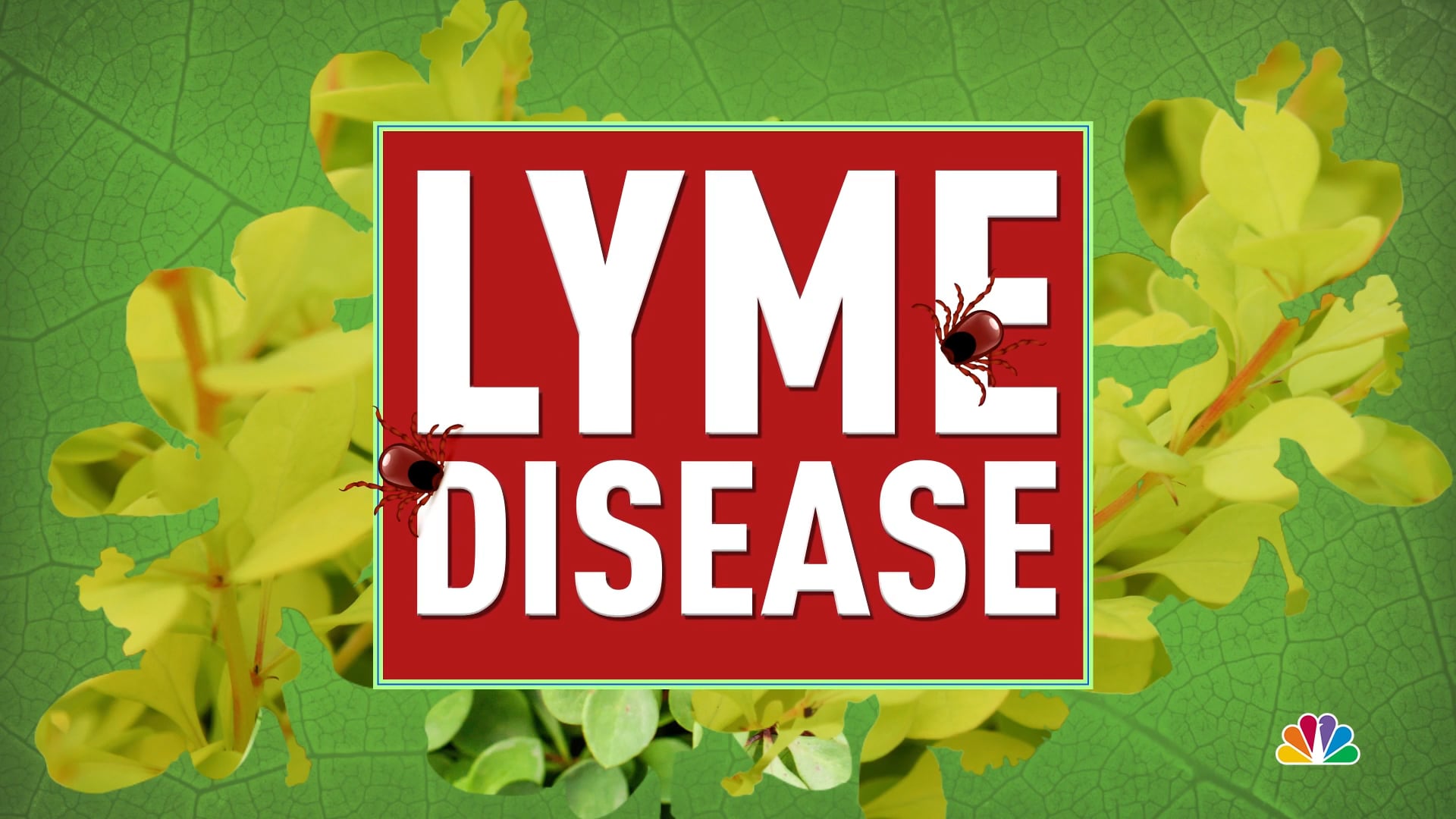 NBC NEWS LYME DISEASE TICKS EXPLAINER