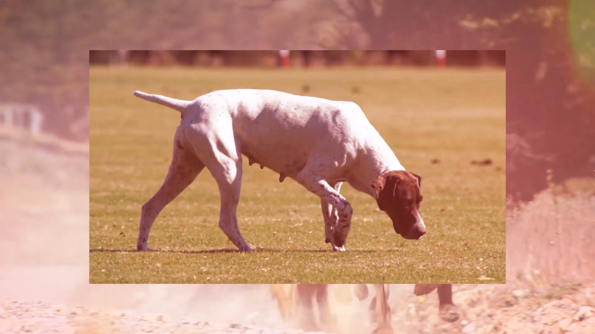 Estudiaba una carrera poco conocida!