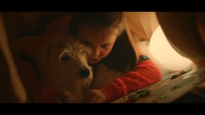 Related Embedded Video Item Thumbnail