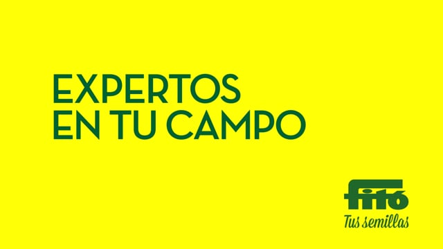 Novidades de Semillas Fitó 2019