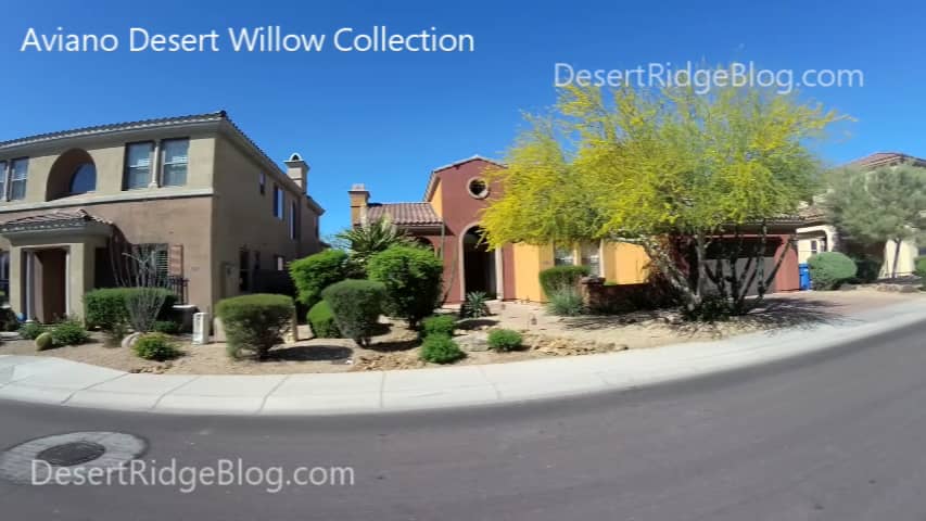 Aviano At Desert Ridge Homes For Sale