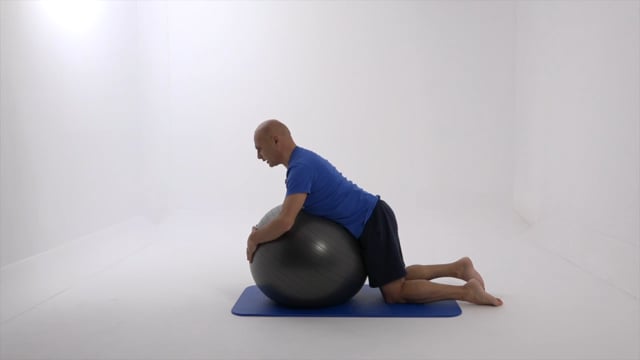 Pilates Plus : with Stability Ball
