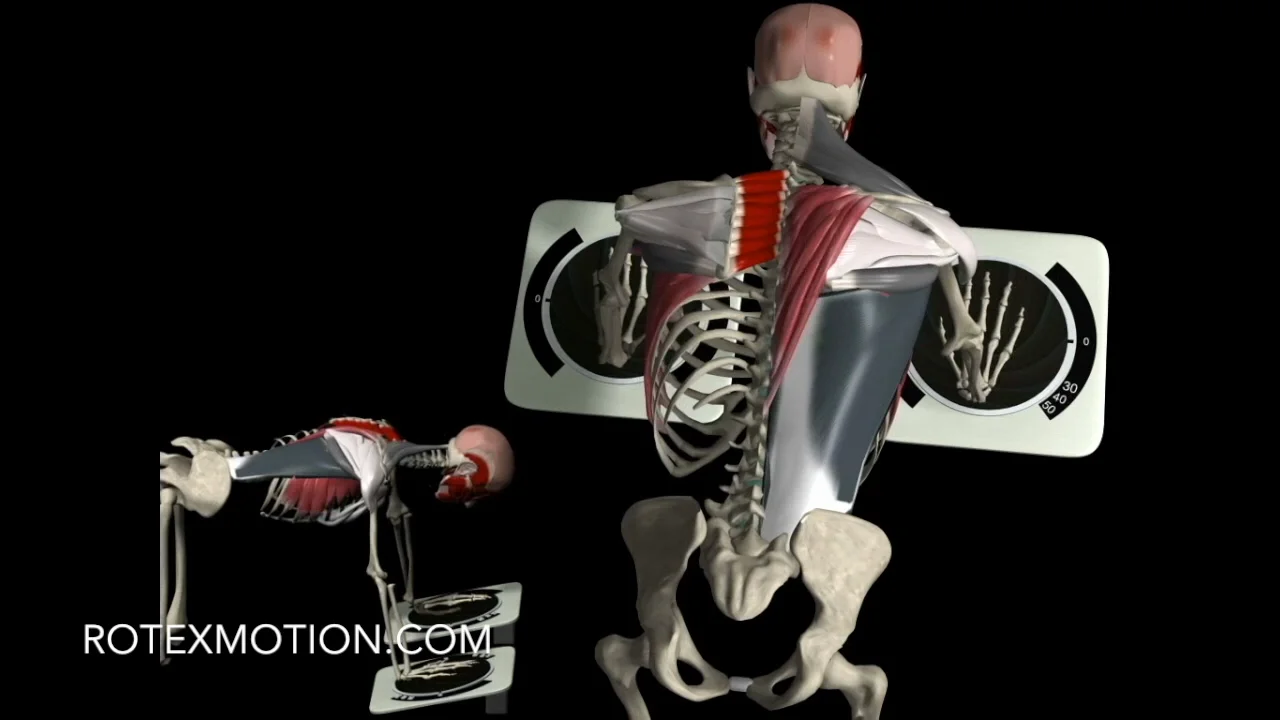 ROTEXMotion Floor Model – ROTEXMotion.com