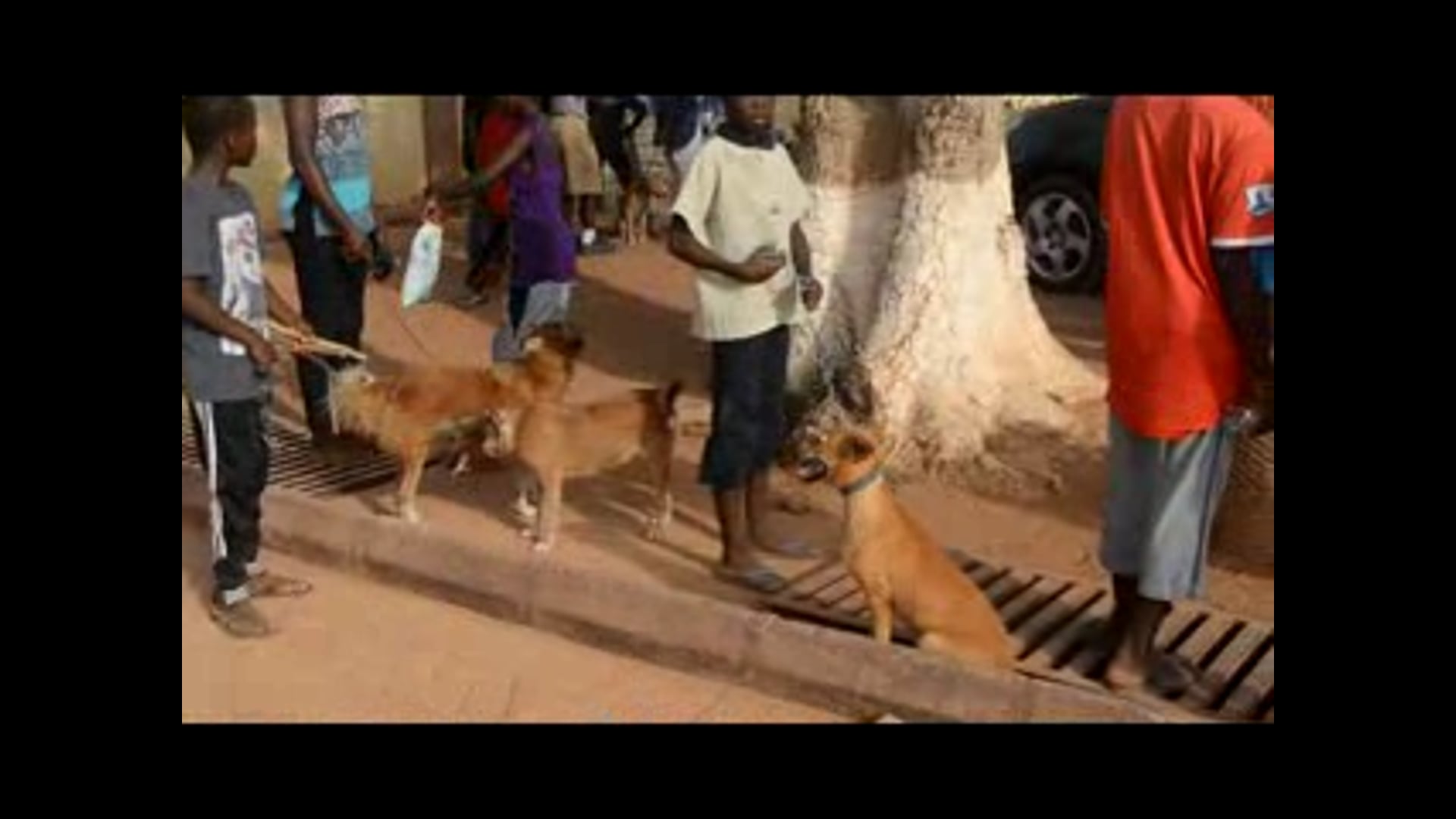 Rabies Clinic @ St Dominic R/C School