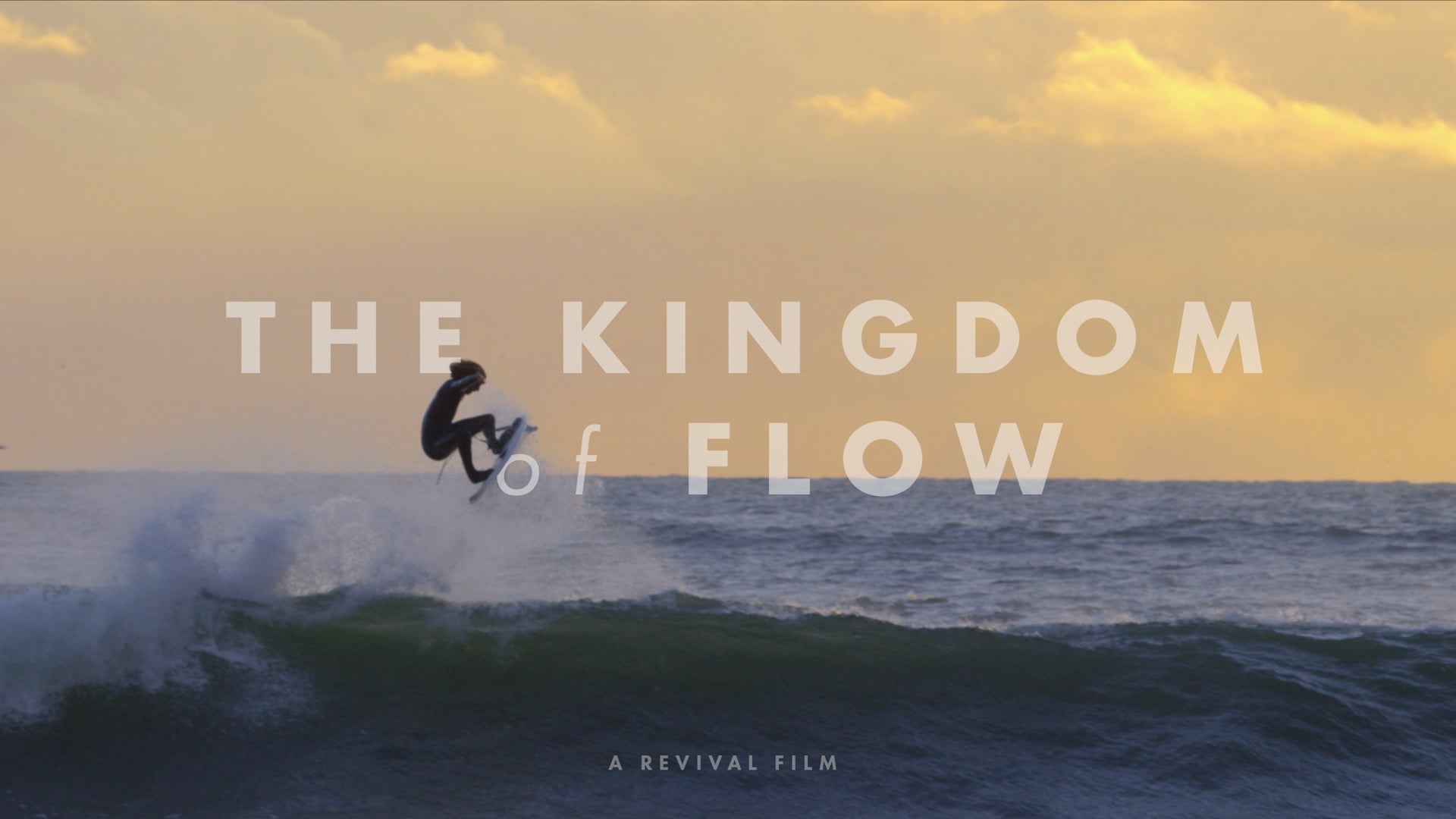 MANFROTTO - KINGDOM OF FLOW