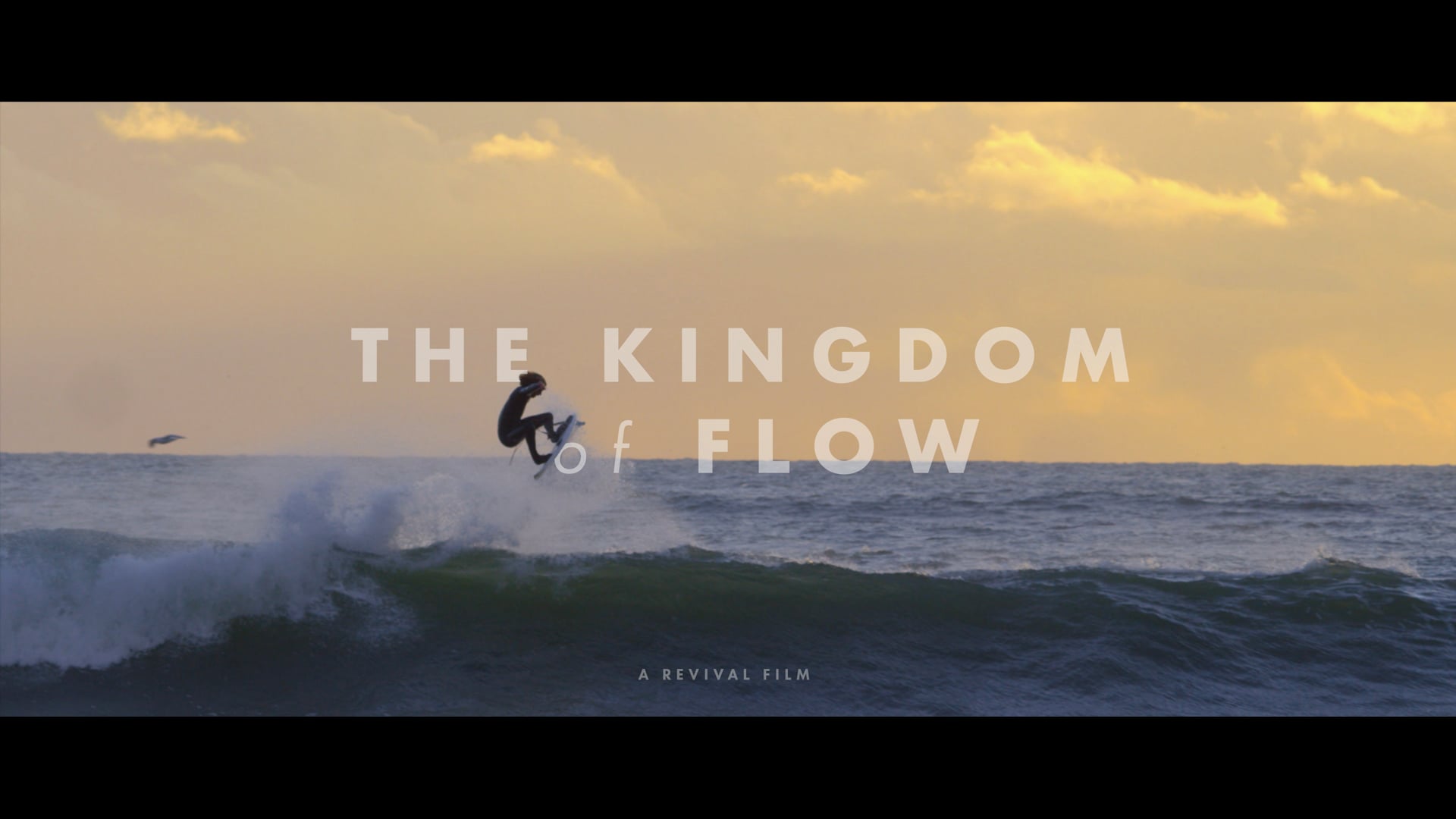 MANFROTTO - KINGDOM OF FLOW