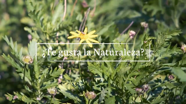 ¿Te gusta la naturaleza?