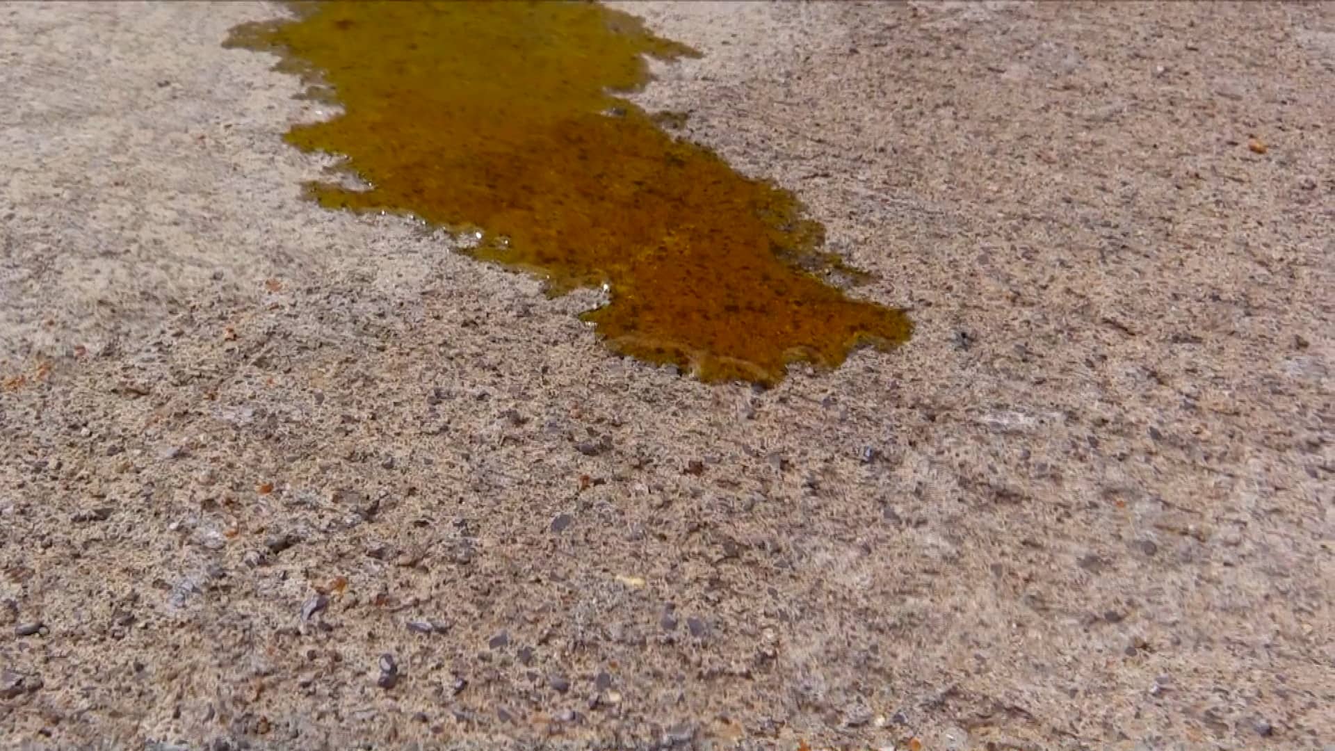 Madison Everett _ 2D Design / Tubach / JMU / Spring 2019_Color and