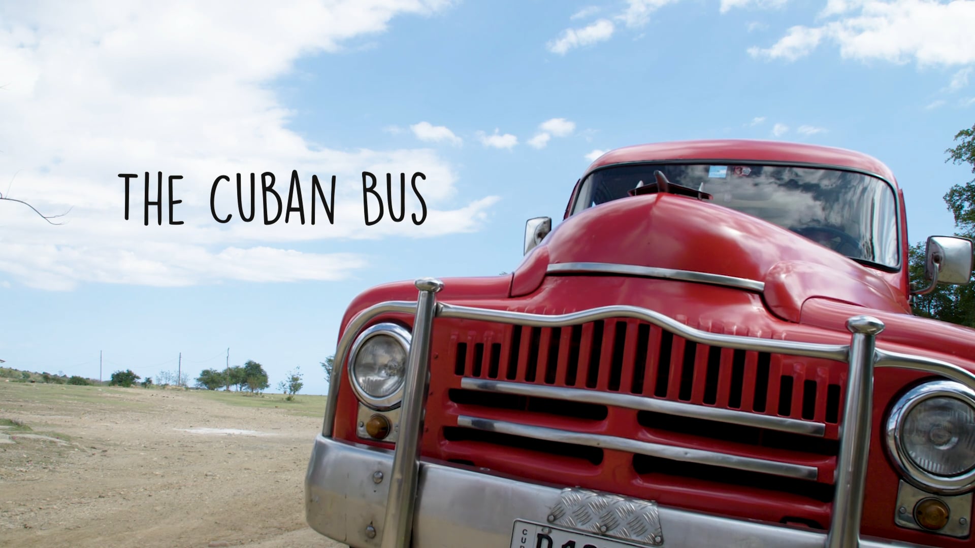 CUBAN BUS