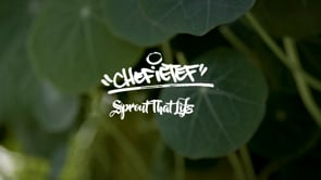 DJ Cavem | Sprout That Life