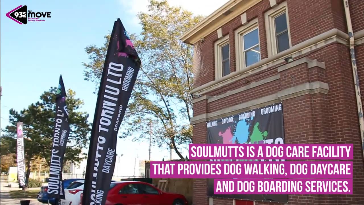 The Move 93.5 Soulmutts Toronto Dog Boarding on Vimeo