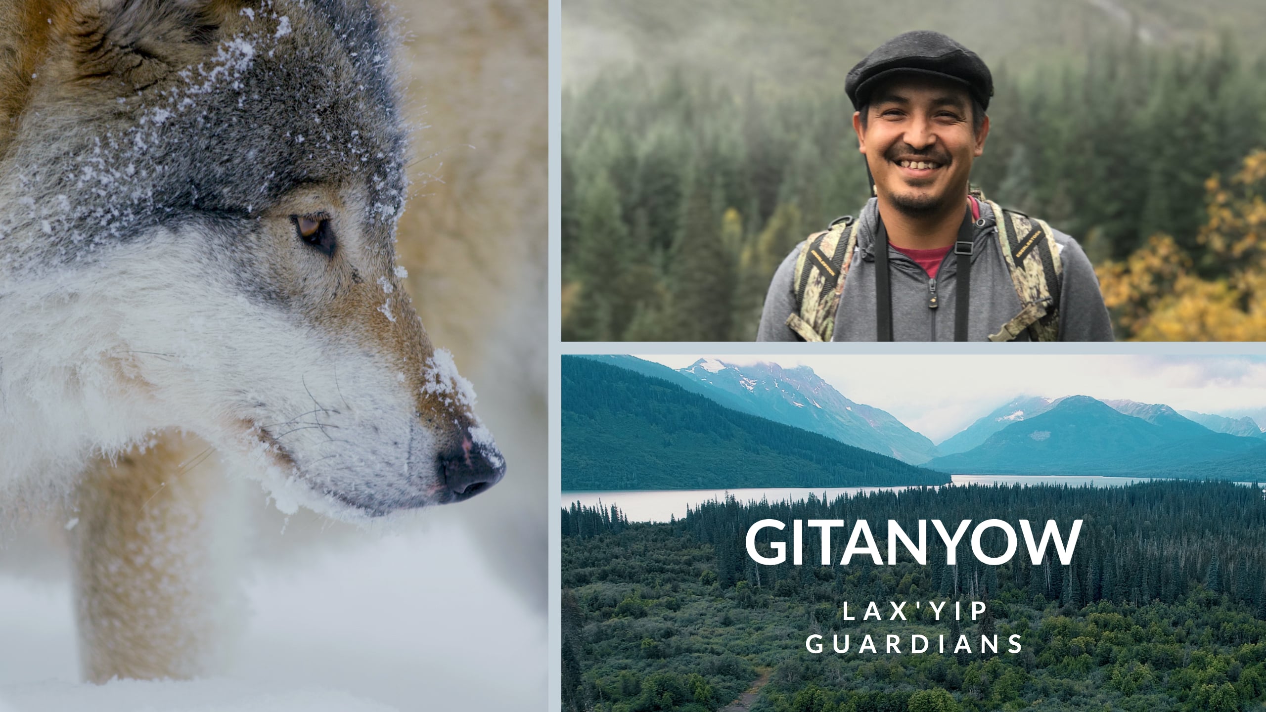 Gitanyow Lax’Yip Guardians