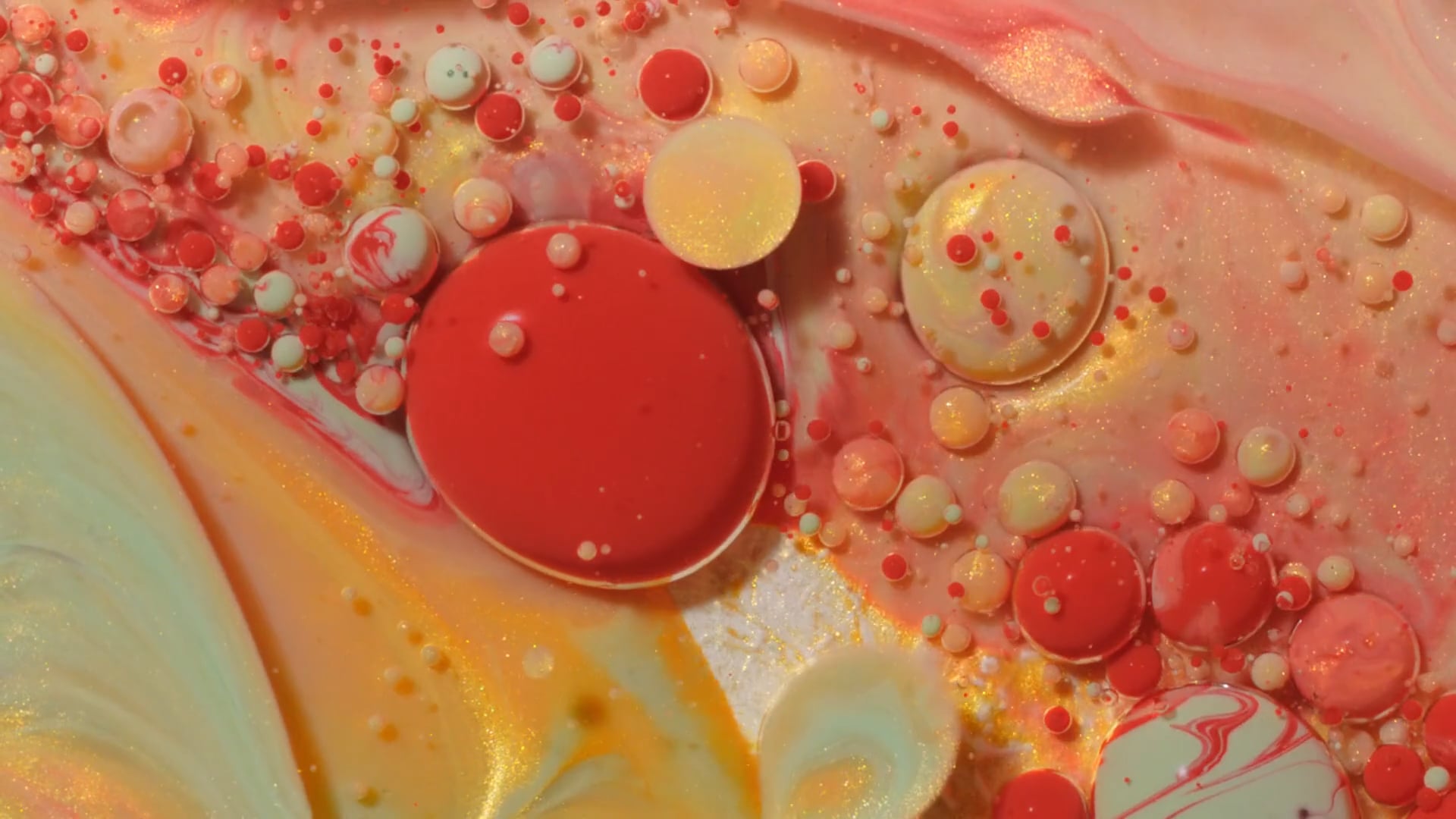 "Etnia Barcelona-The art of details"
