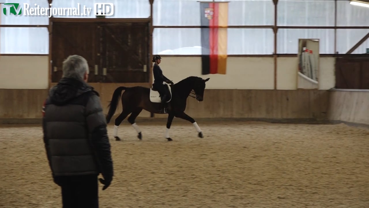Richtig Reiten mit Dr. Dietrich Plewa 2019, Teil 2 von 2