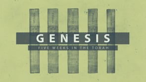 Five Weeks in The Torah – Genesis