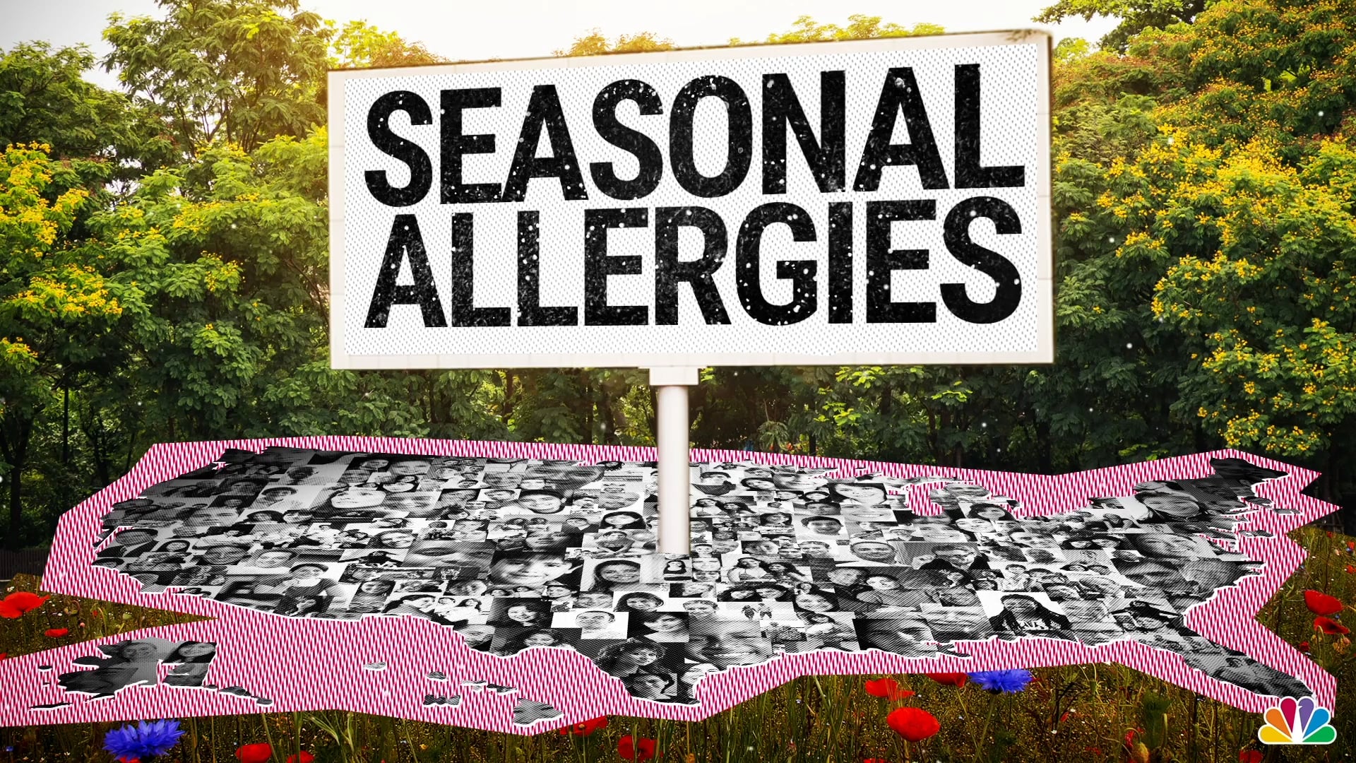 NBC NEWS CLIMATE CHANGE - ALLERGIES EXPLAINER