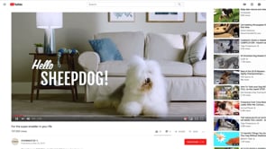 Related Embedded Video Item Thumbnail