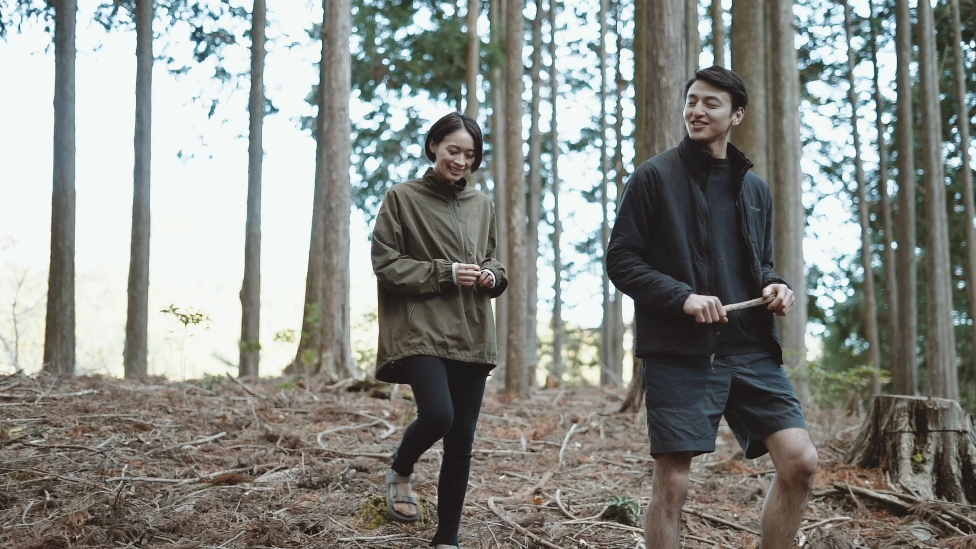 BEAUTY&amp;YOUTH UNITED ARROWS - LEINWANDE/ダークグリーン Coleman x BY＞ POPUPSHADE （その他雑貨）｜BEAUTY&YOUTH
