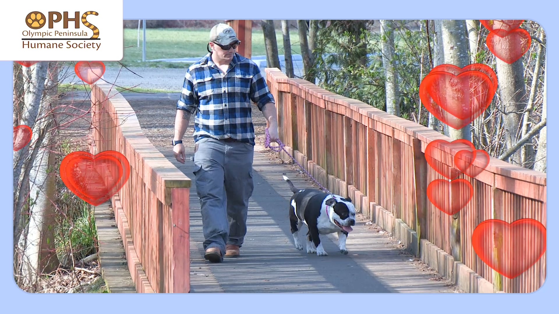 Olympic Peninsula Humane Society "Perfect Match"