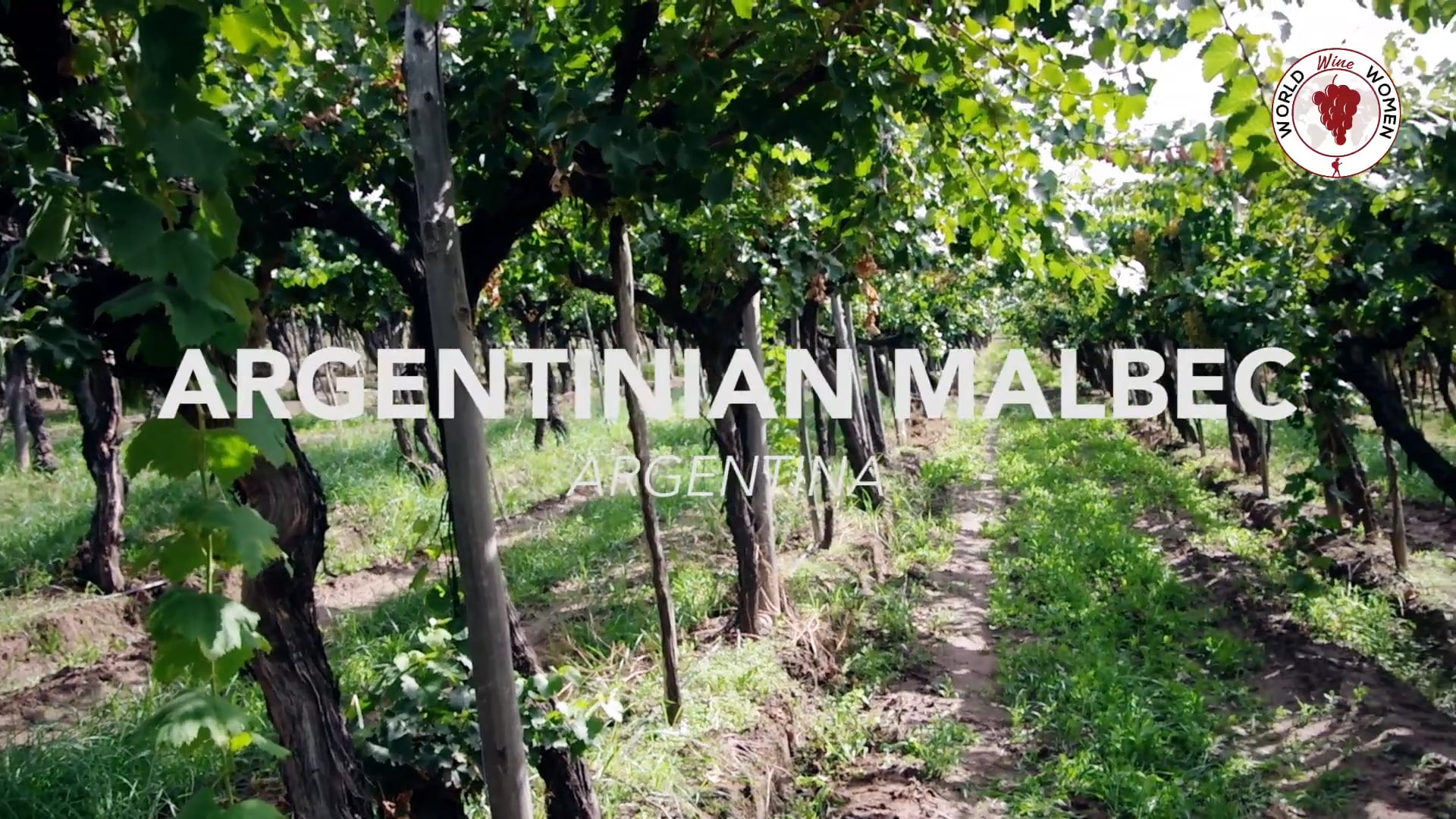 Argentinian Malbec - Argentina