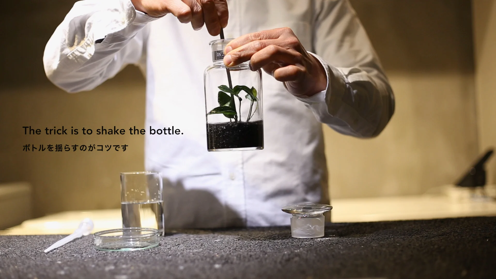 植替用水草とミネラルバラスのセット 120ml 用 (送料込