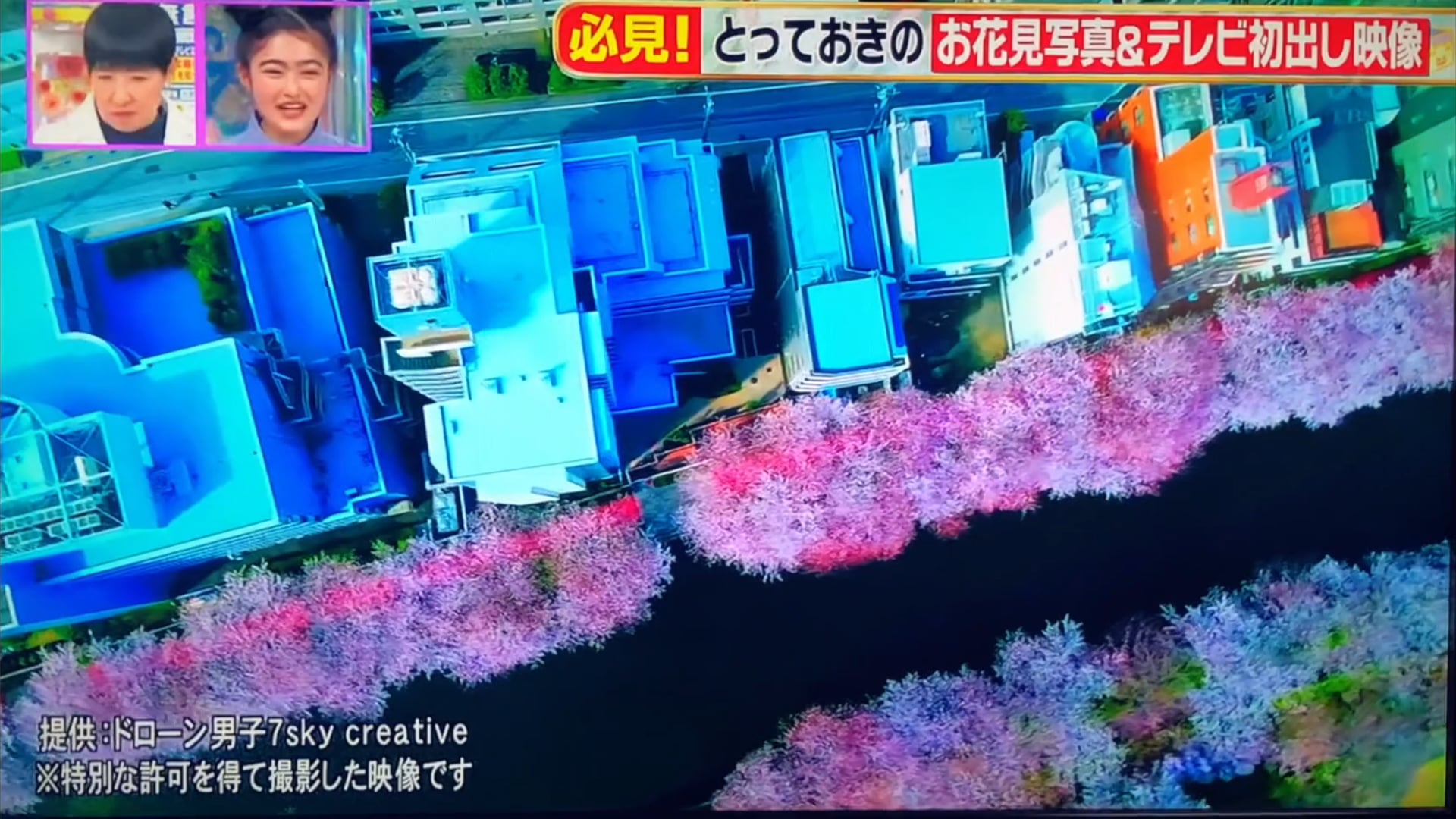 「テレビ初公開」ドローン空撮 目黒川の桜【アッコにおまかせ!】