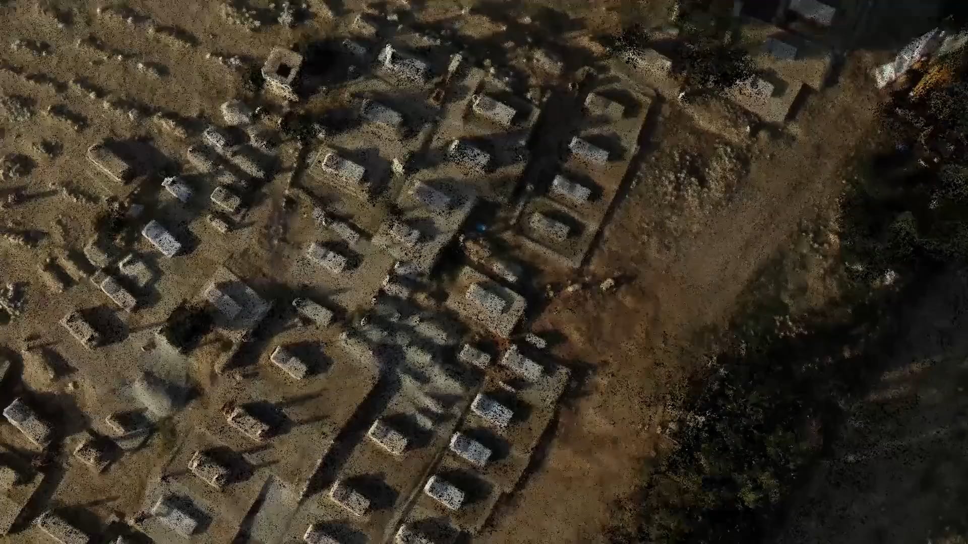 Destruction and Return in al-Araqib