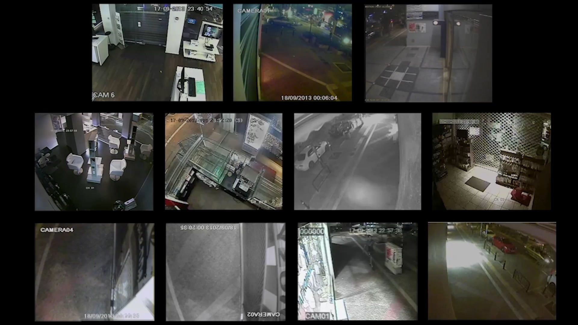 The Murder of Pavlos Fyssas