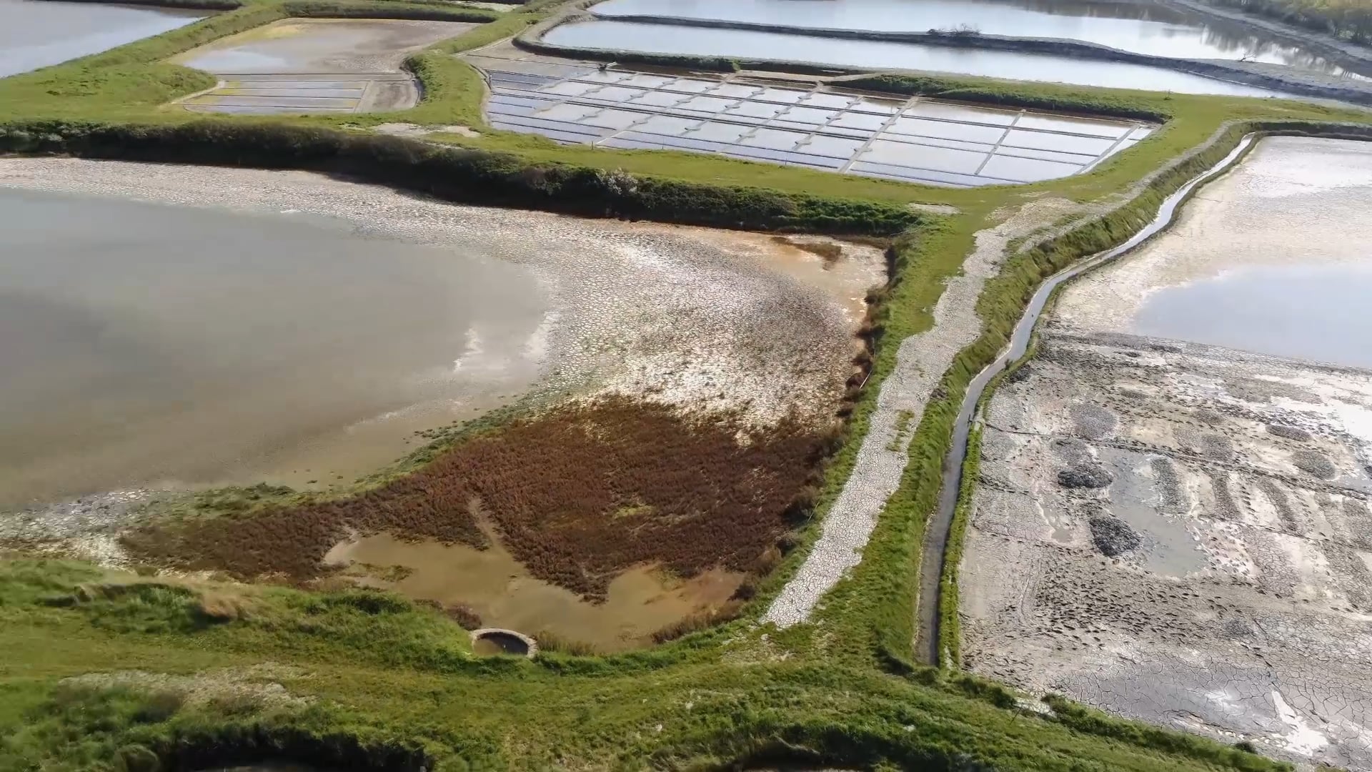 Marais salants de Mesquer