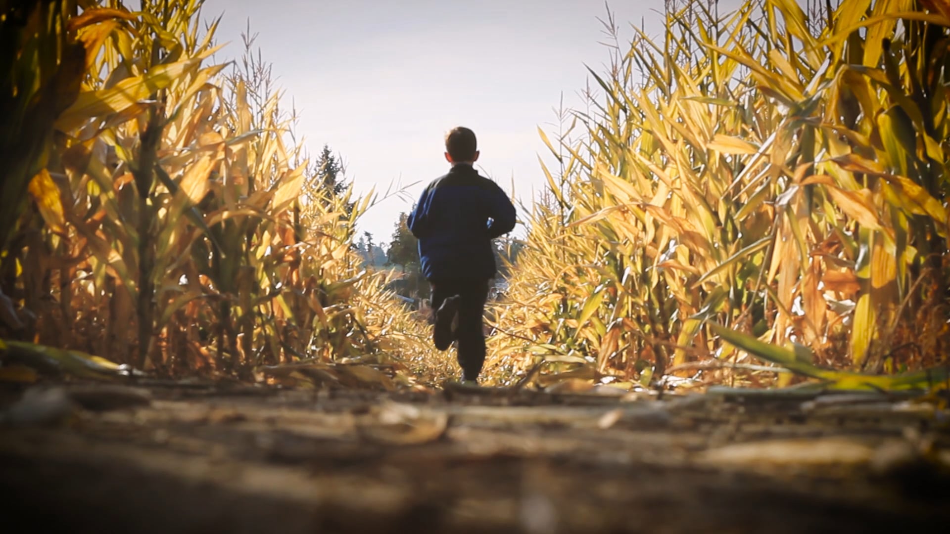 FOUR SEASONS OF HARVEST