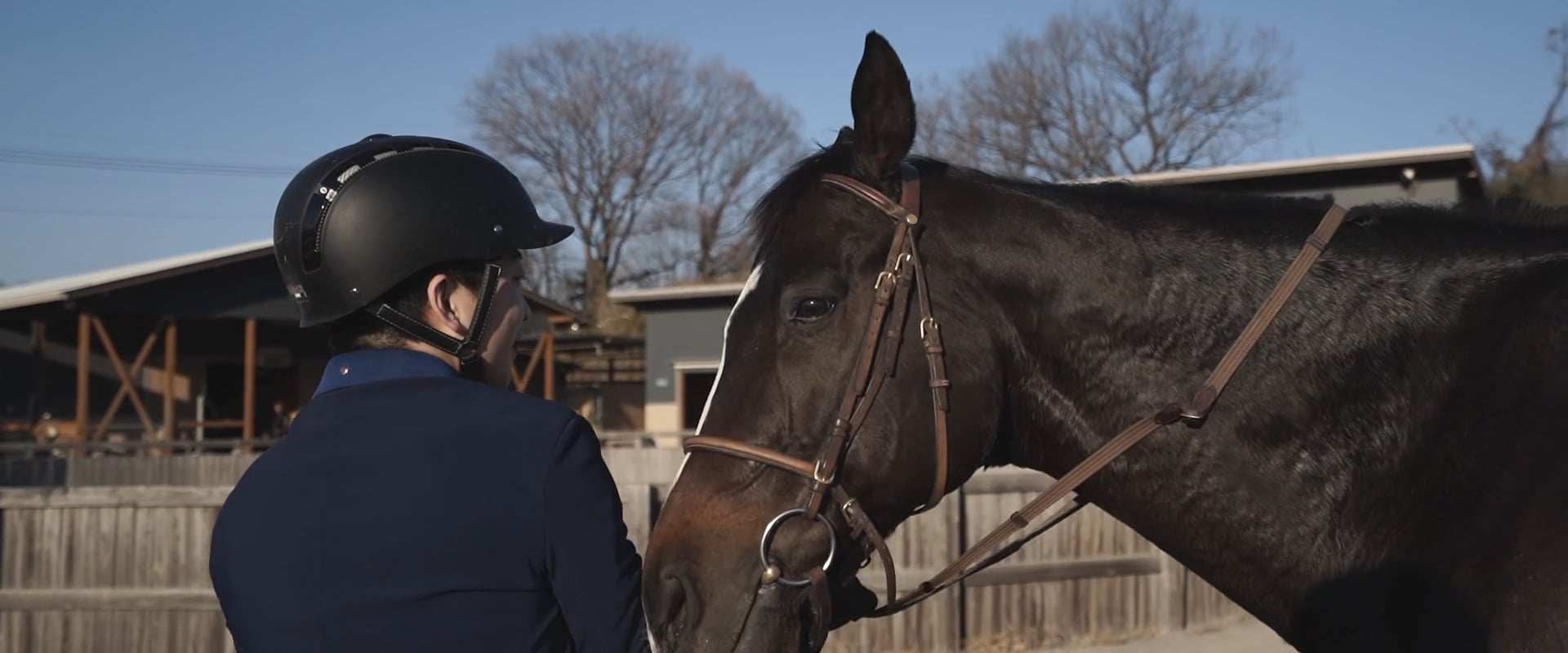 Horse riding on Vimeo