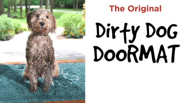 Dog Gone Smart Runner Dirty Dog Doormat Pacific Blue