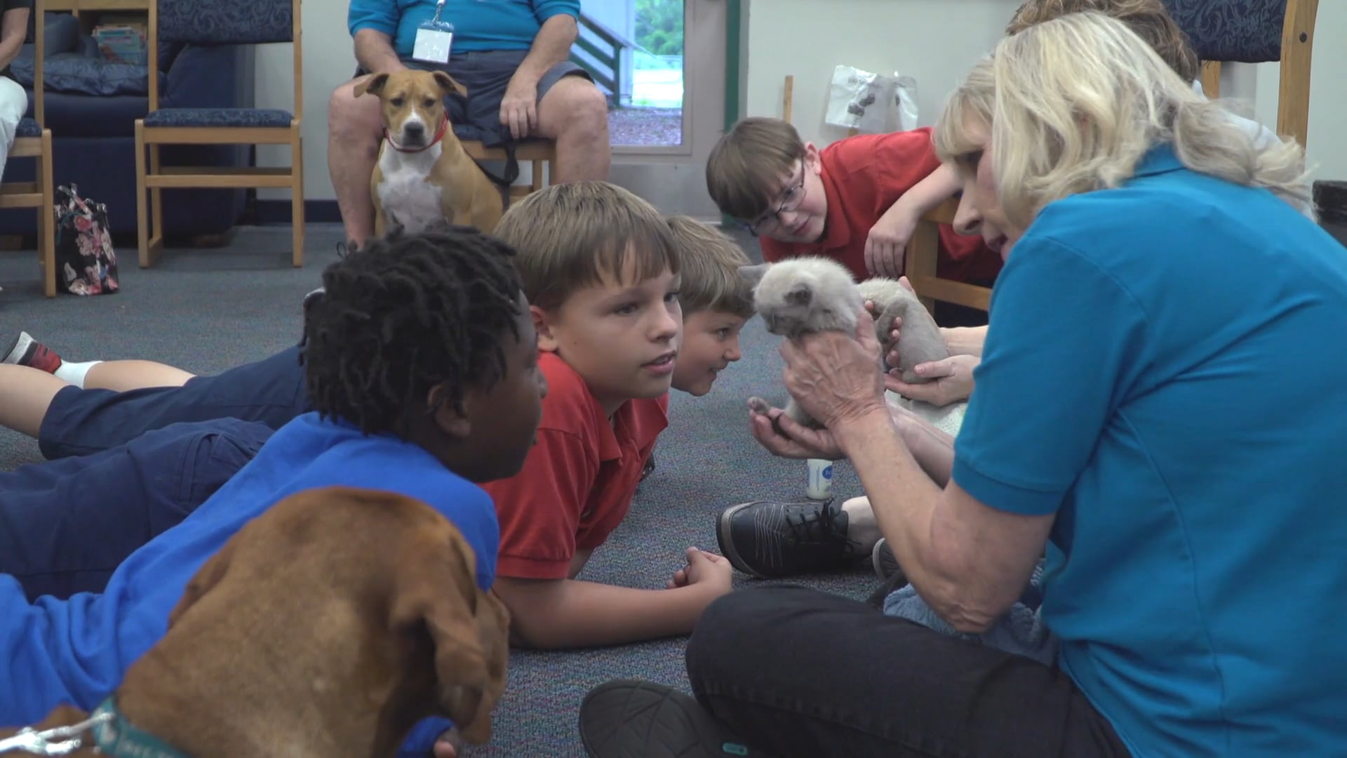 Collars & Scholars Program - Humane Society of Sarasota County