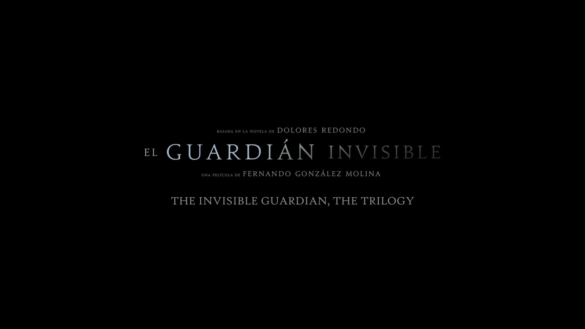 Watch the invisible guardian 2024 online with english subtitles