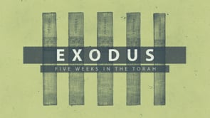 Five Weeks in the Torah – Exodus