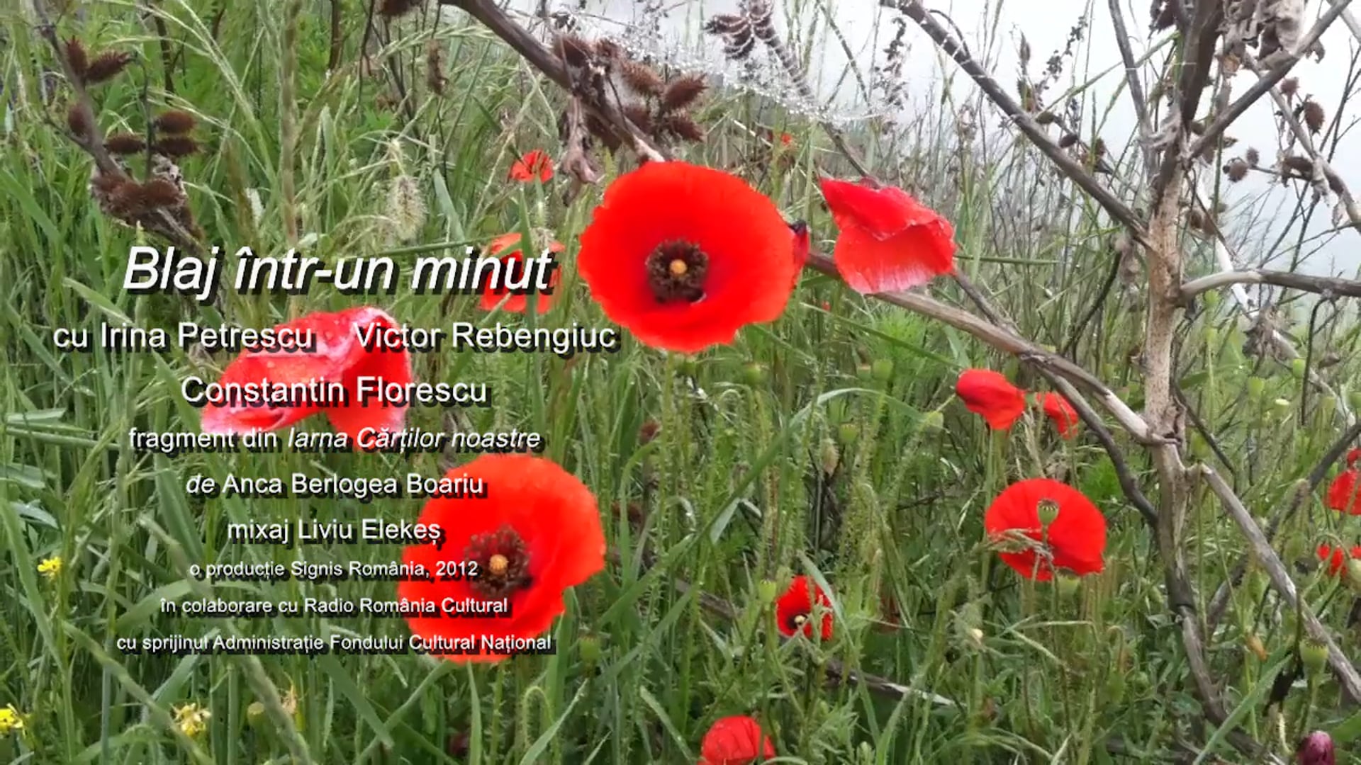 Condamnat pentru o carte de geografie