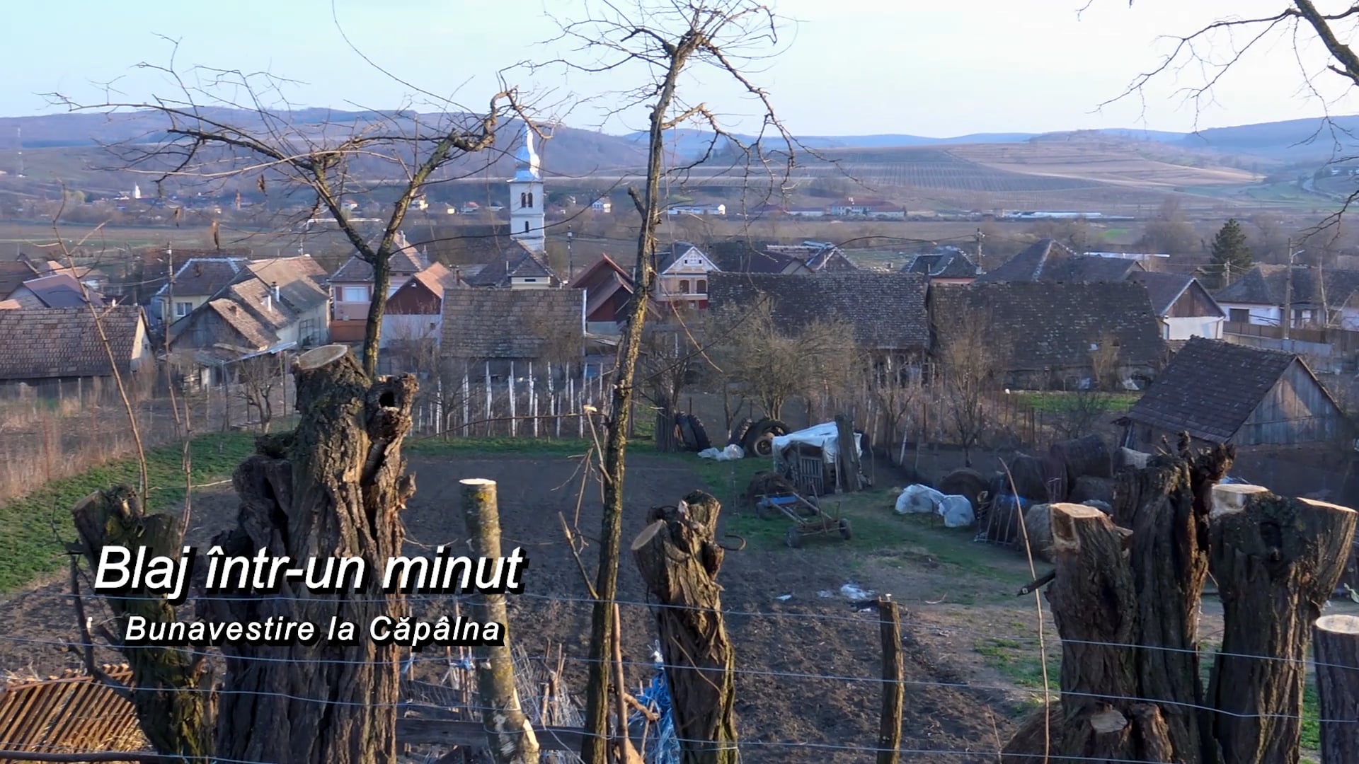 Buna Vestire la Căpâlna