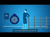 Infografía Animada