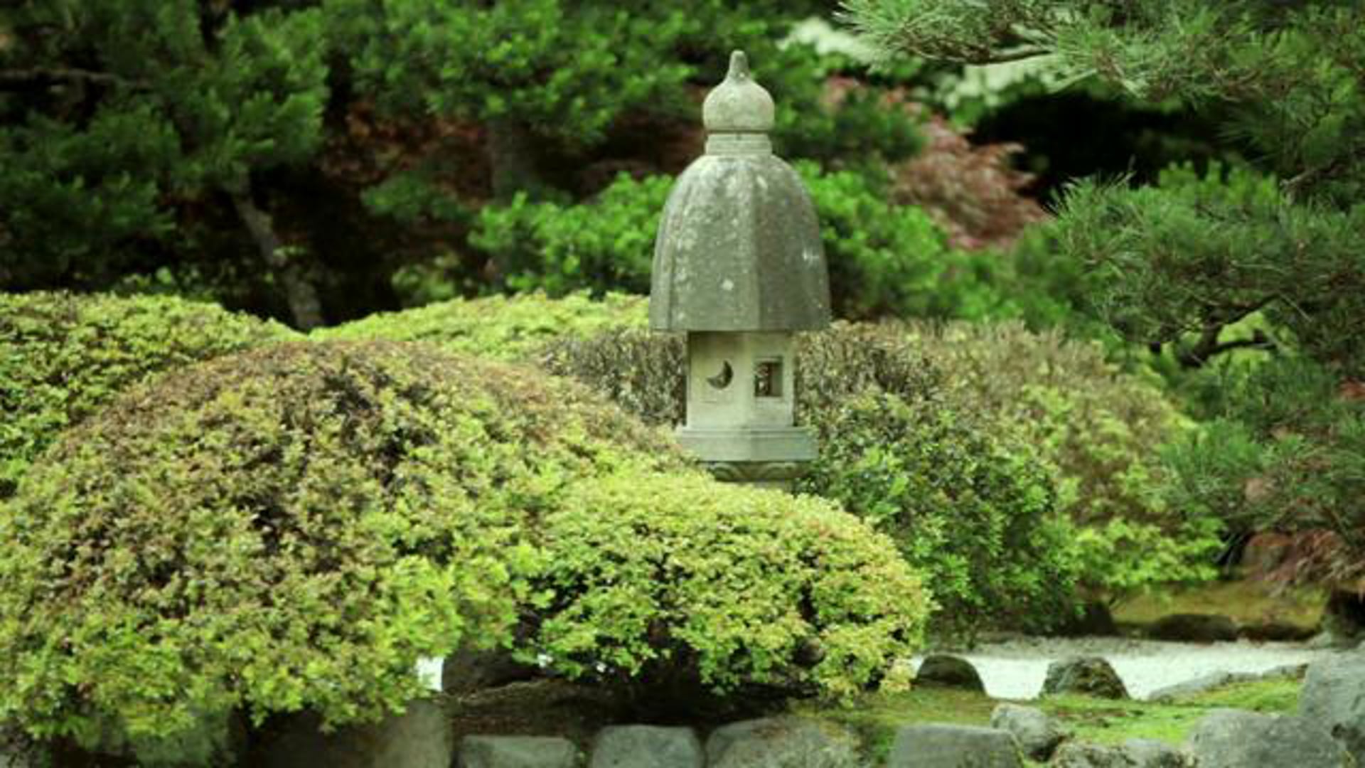 Portland Zen