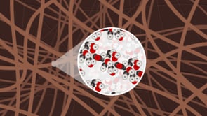 How Small is an Atom