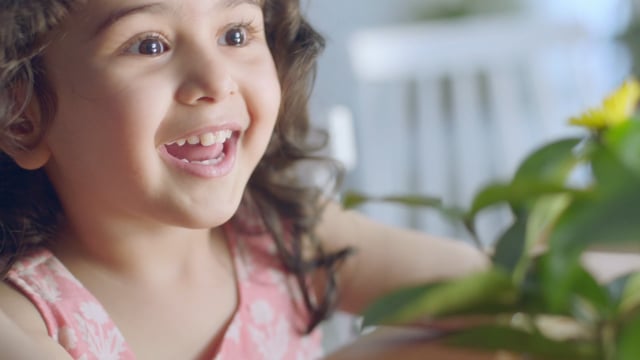 Nestle Ceregrow