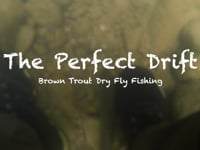 The Perfect Drift - Dry Flies &amp; Brown Trout
