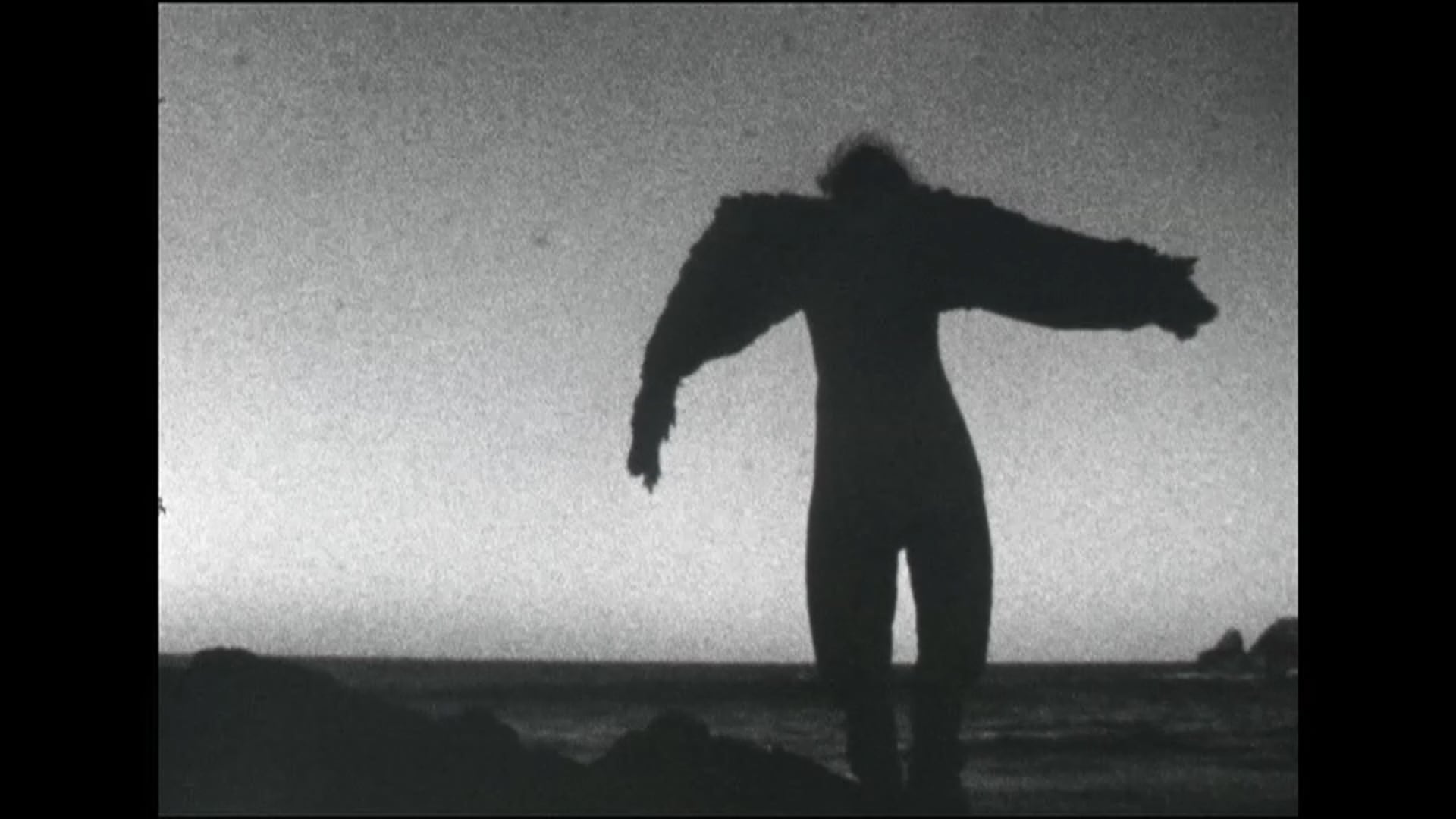 L'oiseau