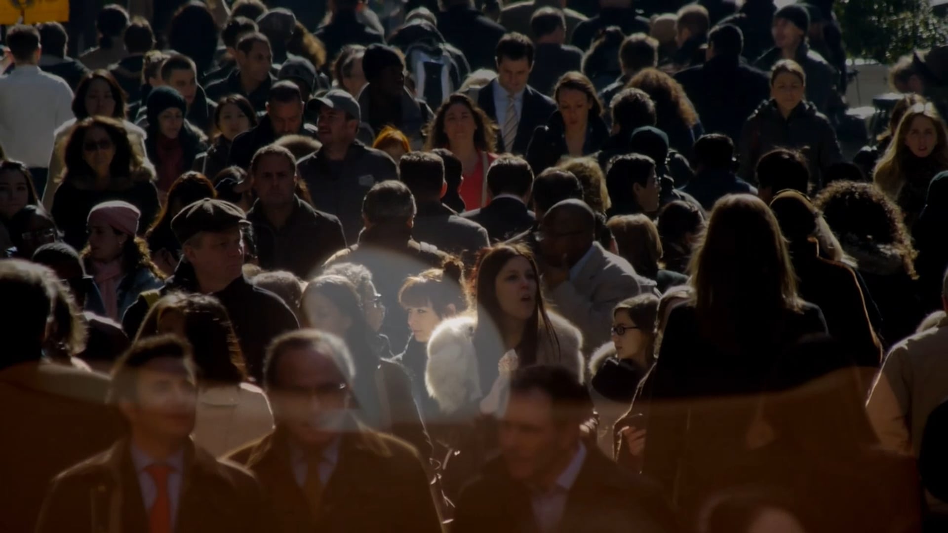 The Search Trailer
