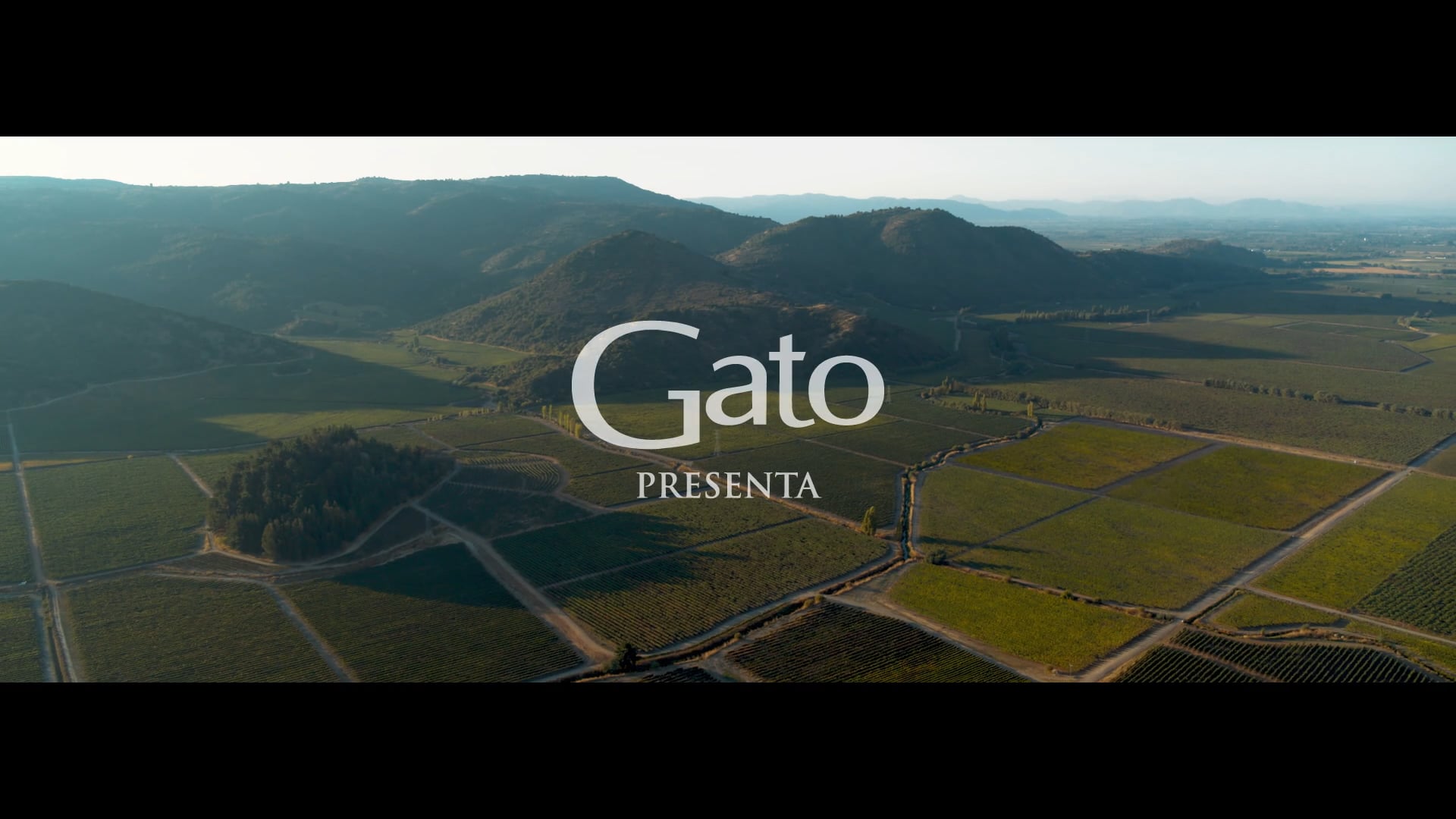 GATO 2019