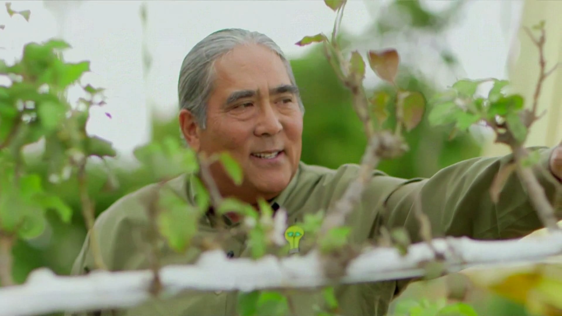 Solutions for Urban Agriculture