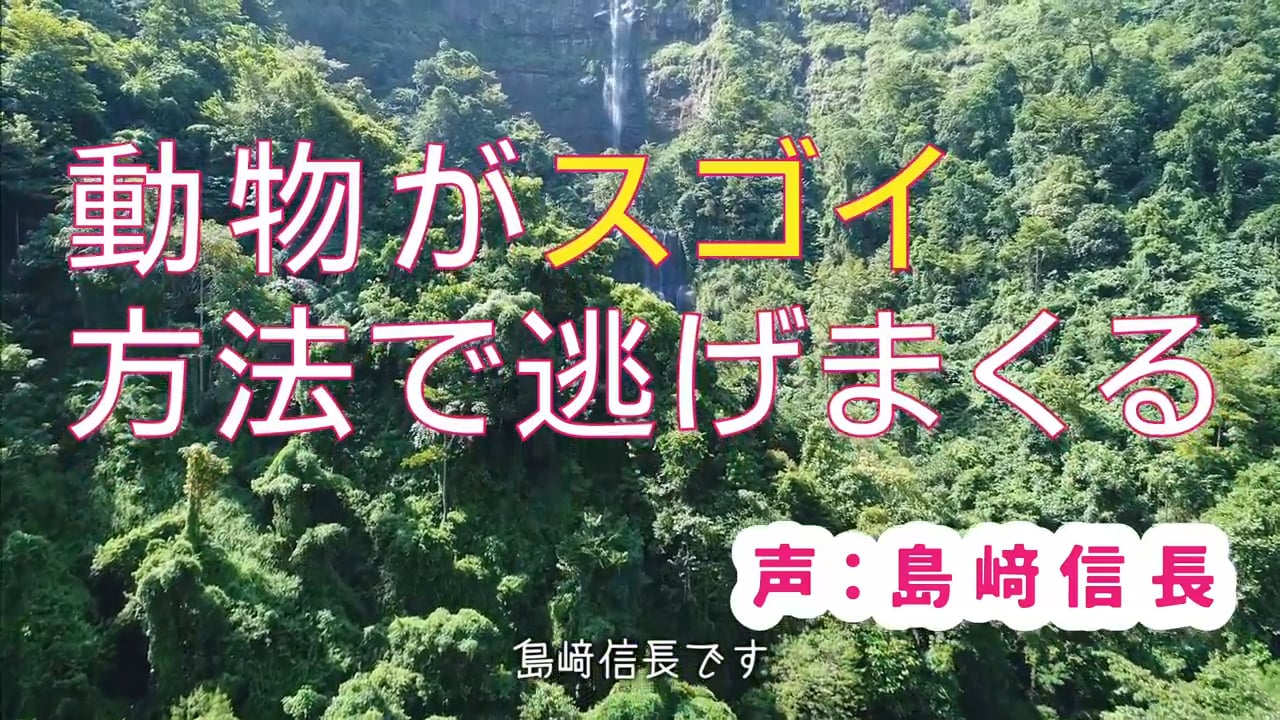 TOYOTA｜島﨑信長が演じる動物のスゴイ逃げ方