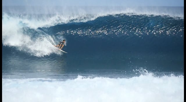 Transplant from Schuyler Allen