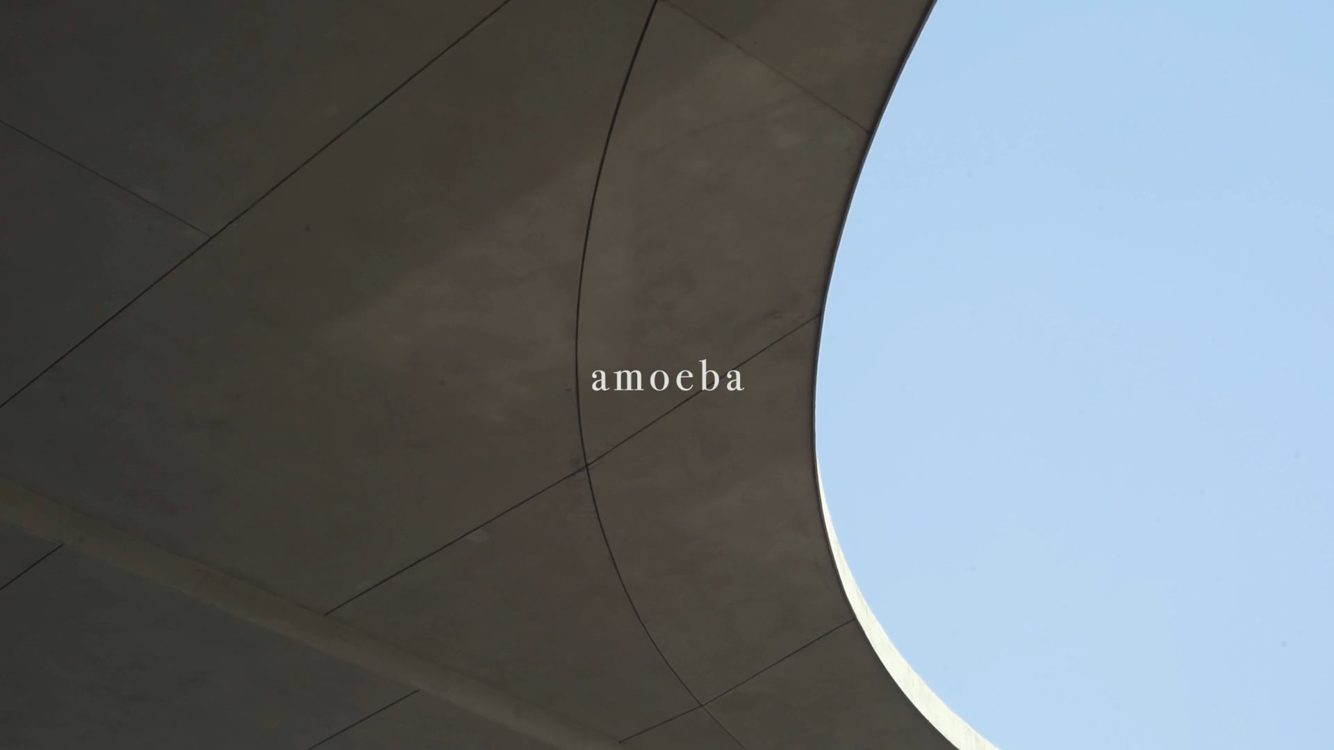 AMOEBA